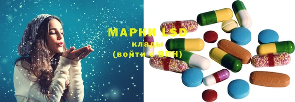 шишки Аркадак