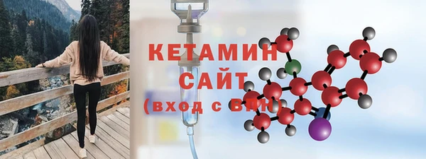 шишки Аркадак