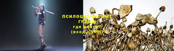 стаф Арсеньев