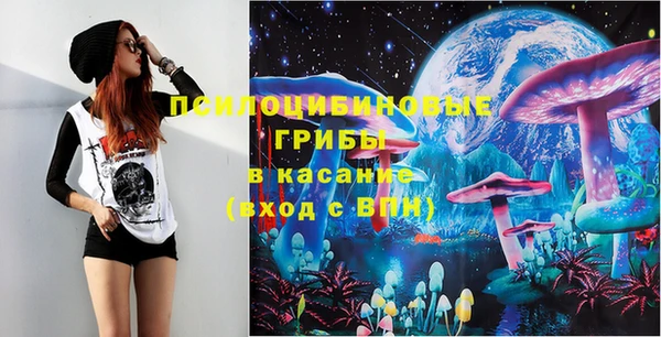 мдпв Армянск