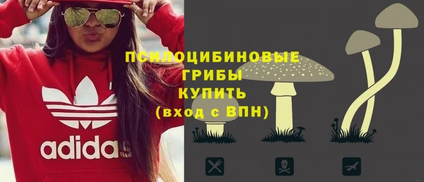 шишки Аркадак