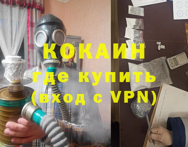 стаф Арсеньев