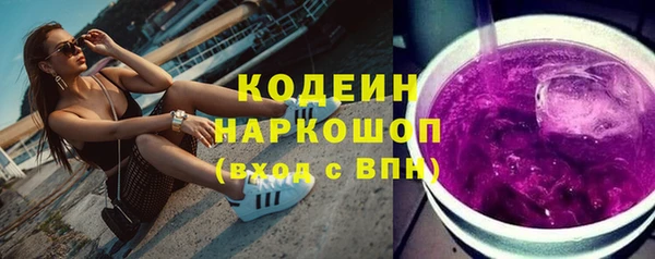 шишки Аркадак