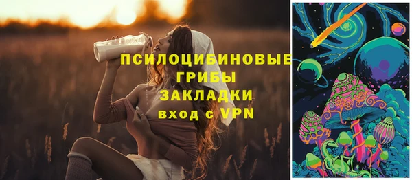 мдпв Армянск