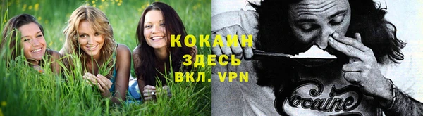 стаф Арсеньев