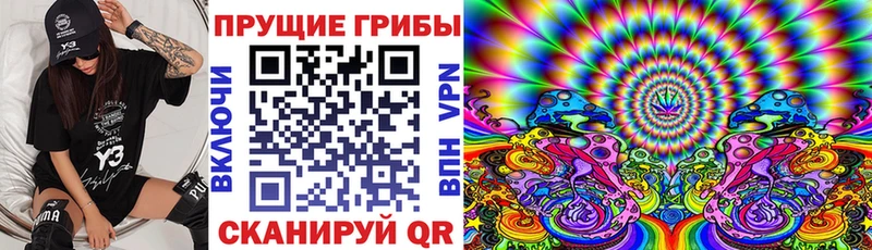 Псилоцибиновые грибы Magic Shrooms  Купить закладки  Коркино 
